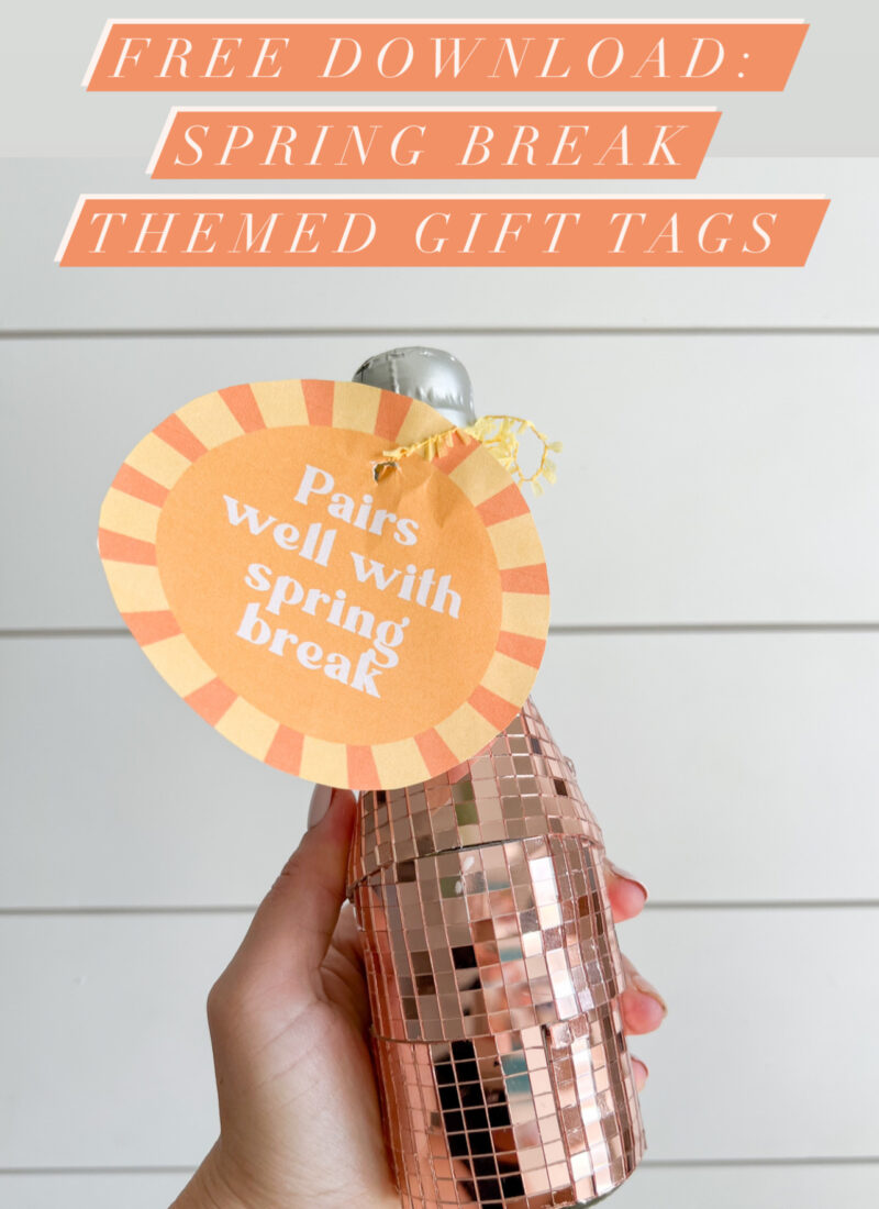 FREE DOWNLOAD: Spring Break Themed Tags